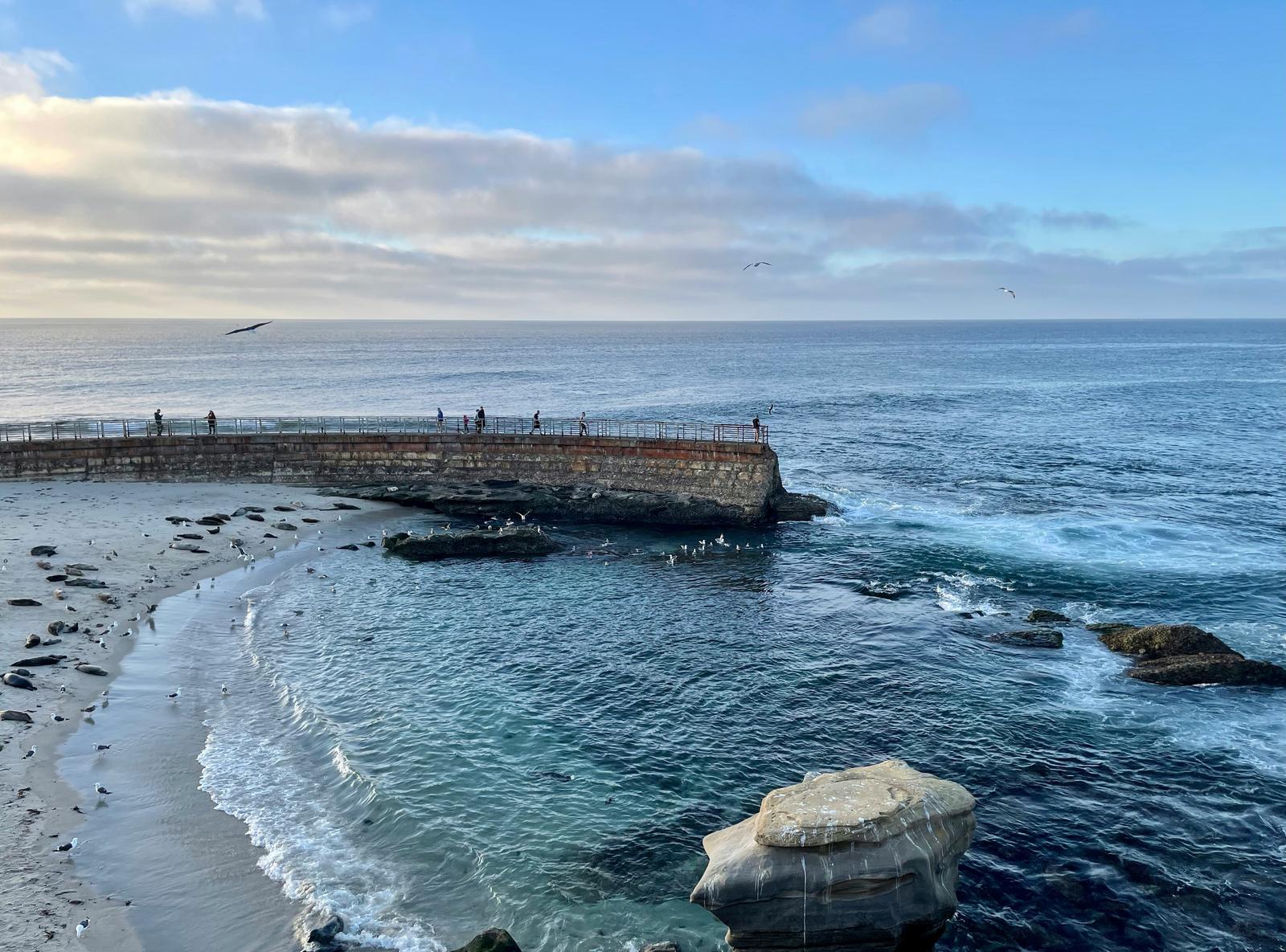 The seawall and cove at La Jolla, looking out to the Pacific.